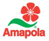 Amapola